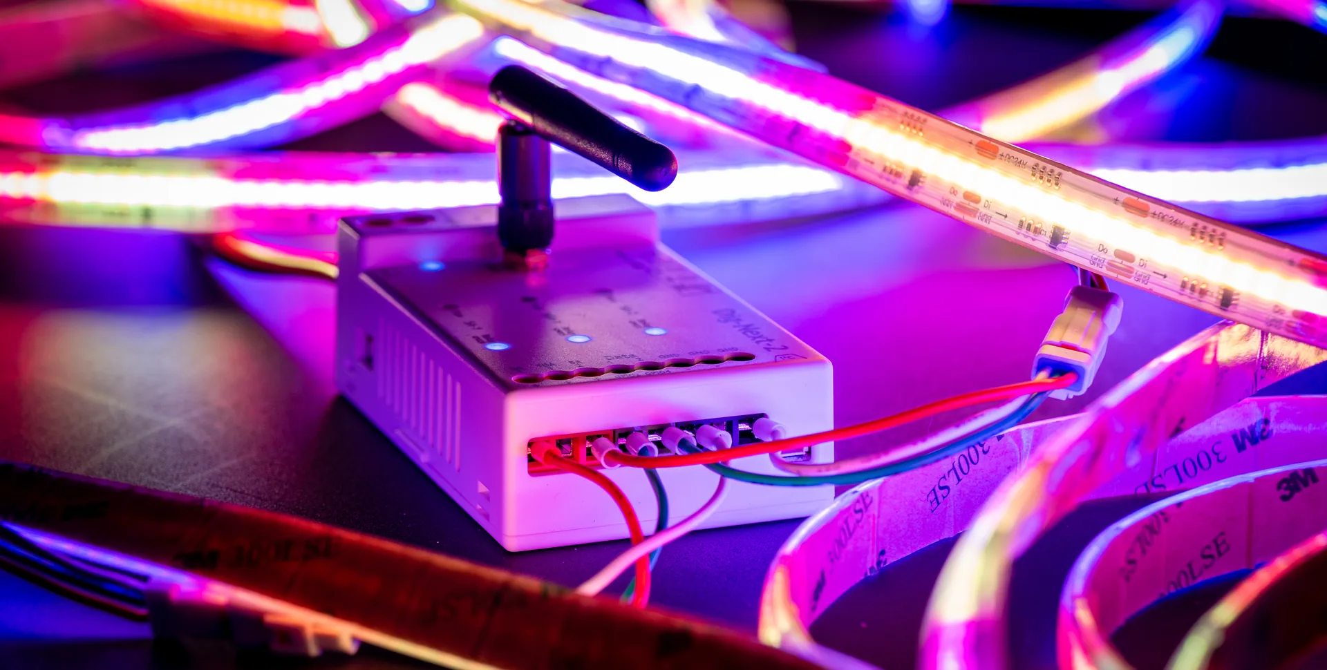 Dig-Next-2 driving glowing addressable COB strips in cyan, magenta and blue